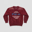 Boys' Maroon Fuzzy Woolen Sweater with Sporty Graphic Print