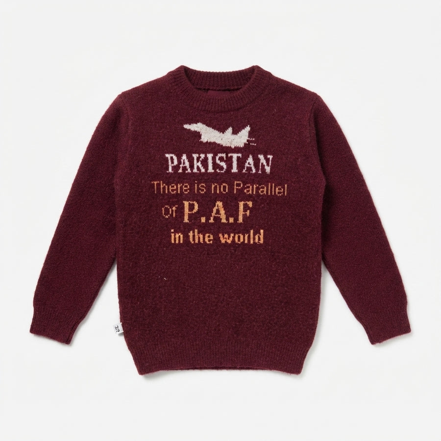 Boys Maroon Patriotic Fuzzy Knit Sweater