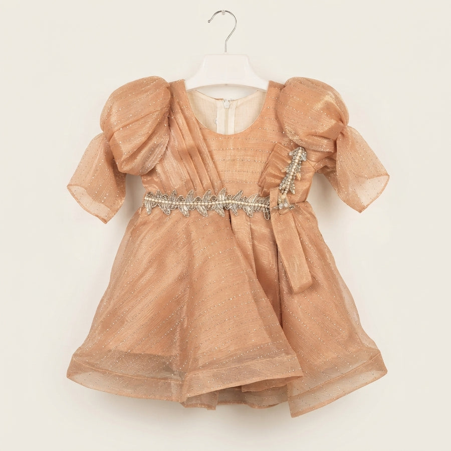 Sparkling  Puff Sleeve Baby Frock