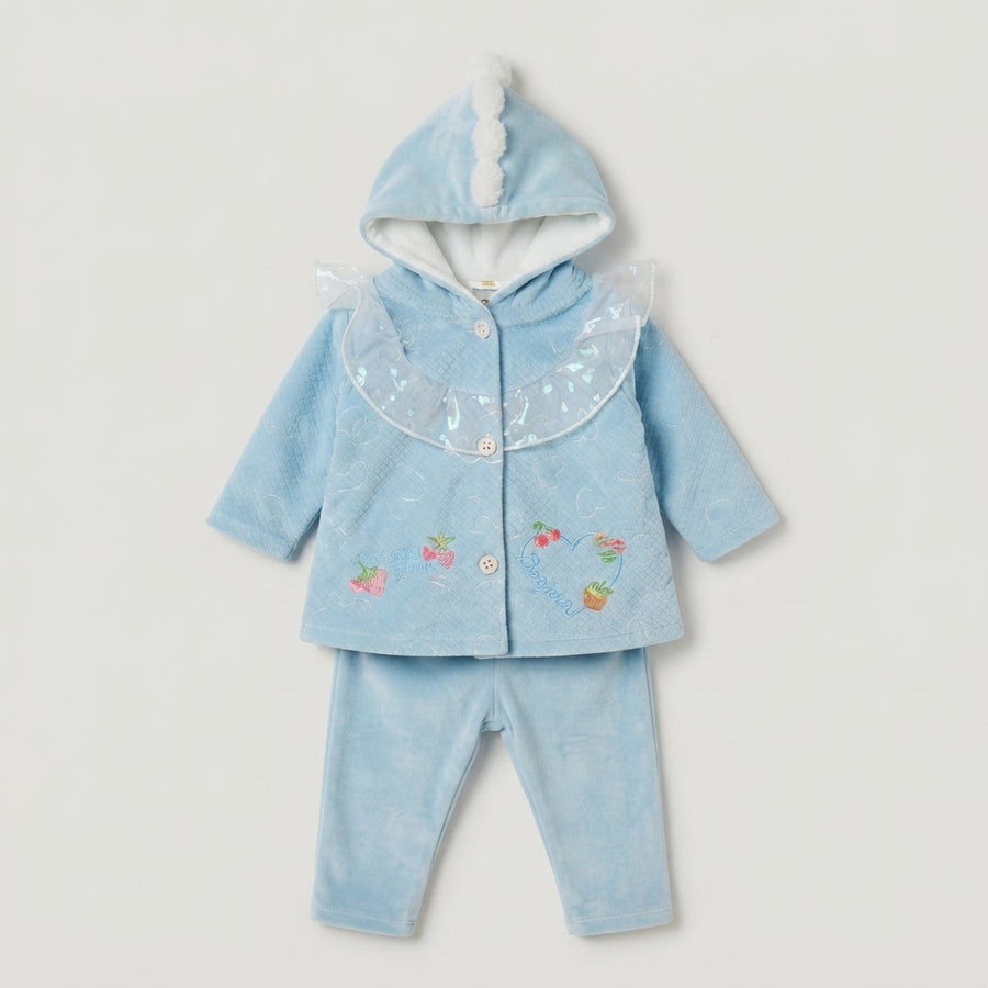 Baby Girls Cozy Light Blue Velvet 2-Piece Hoodie Set with Hood Pom-Pom & Floral Embroidery
