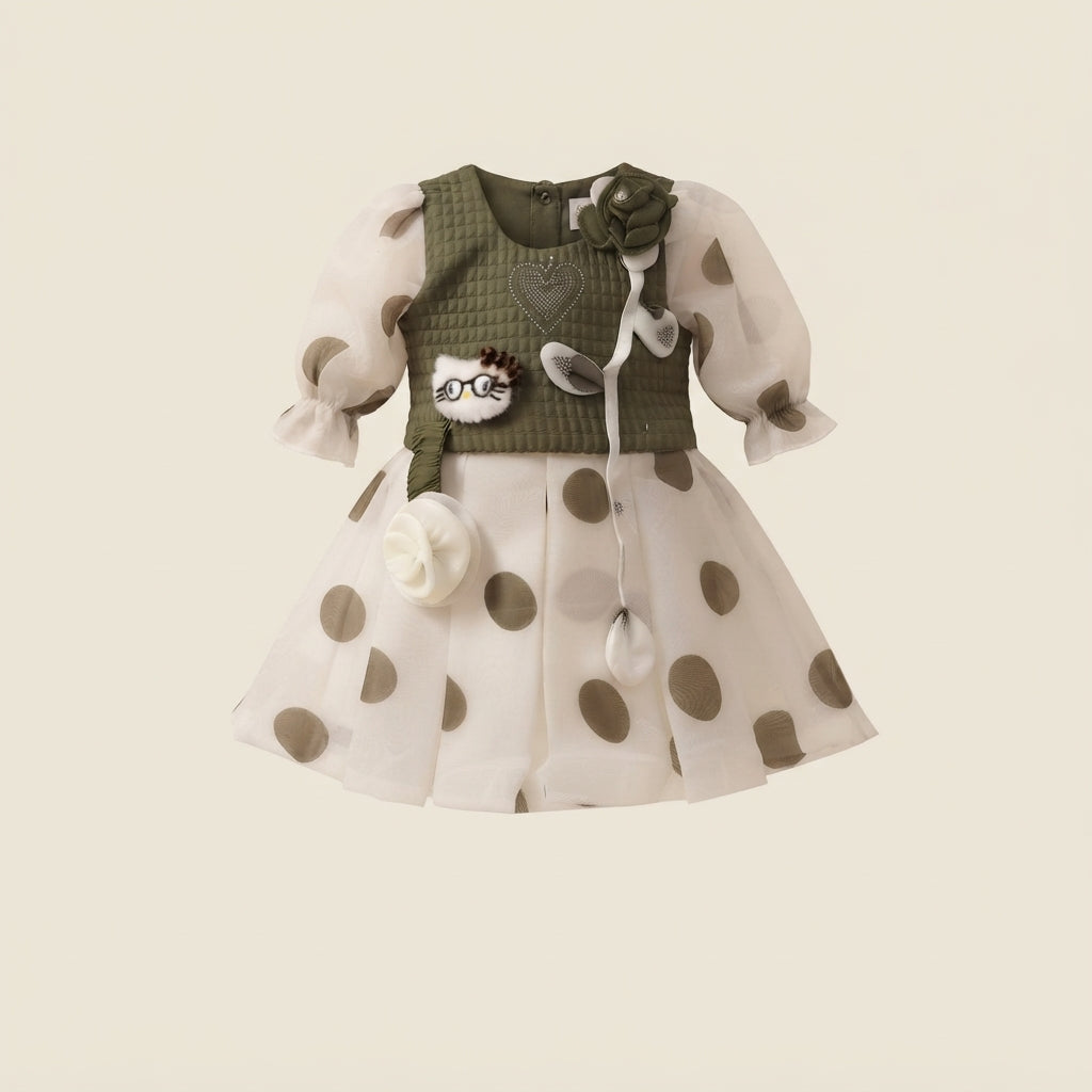 Baby Girl Fancy Frock